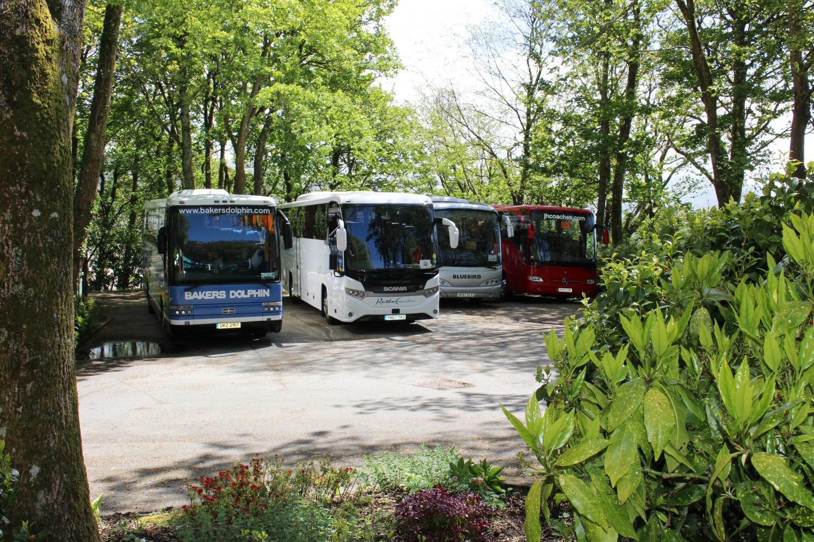 Tours & Coaches
